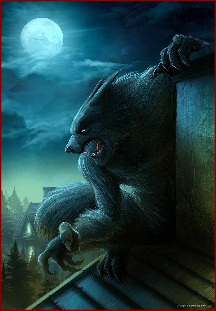 A Quoi Reconnait On Un Loup Garou