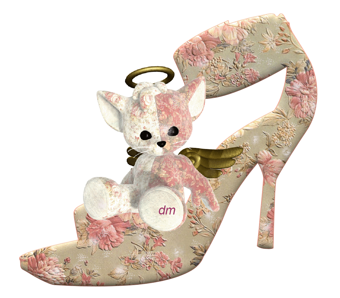 chic me chaussure